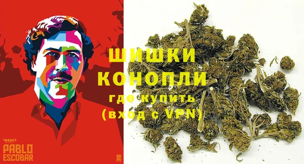 бошки Абаза